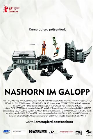 Nashorn im Galopp poster