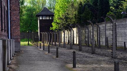 Tocados por Auschwitz poster