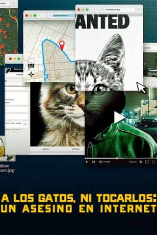 A los gatos ni tocarlos: Un asesino en Internet poster