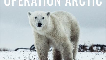 Operation Arctic poster