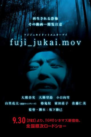 fuji_jukai.mov poster