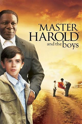 Master Harold poster