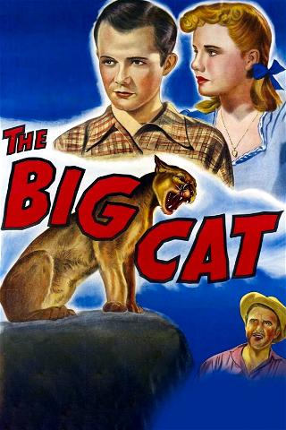 El gran gato poster