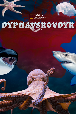 Dyphavsrovdyr poster