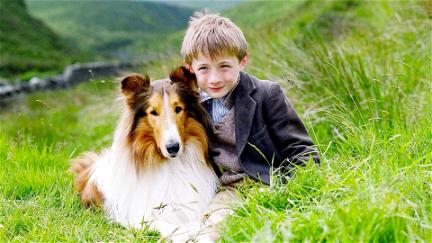 Lassie kehrt zurück poster