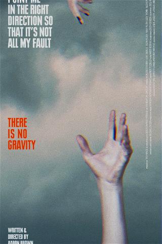 There Is No Gravity poster