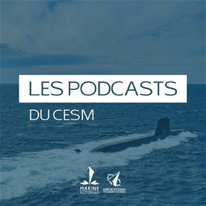 Les podcasts du CESM poster