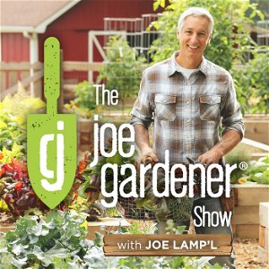 The joe gardener Show - Organic Gardening - Vegetable Gardening - Expert Garden Advice From Joe Lamp'l poster