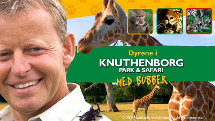 Dyrene i Knuthenborg Park & Safari poster