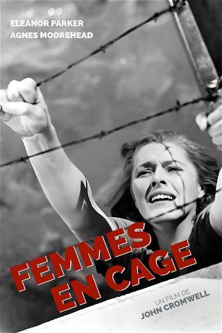 Femmes en cage poster