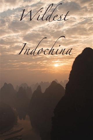 Wildest Indochina poster