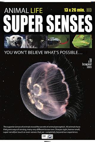 Super Senses poster
