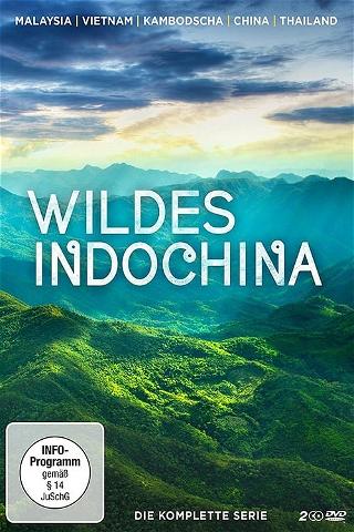 Wildes Indochina poster