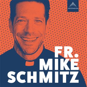 The Fr. Mike Schmitz Catholic Podcast poster