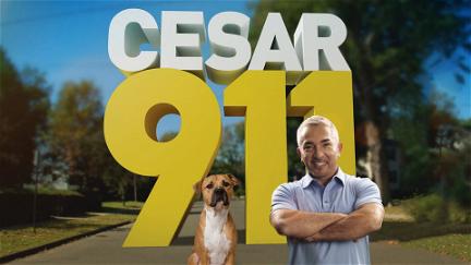 Cesar 911 poster