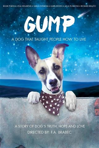 Gump – pes, který naučil lidi žít poster