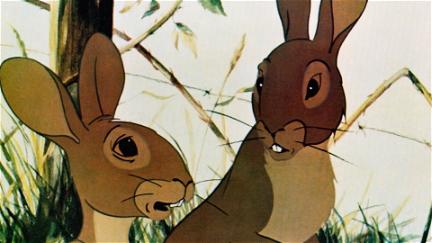 La collina dei conigli poster