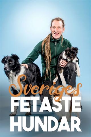 Ruotsin lihavimmat koirat poster