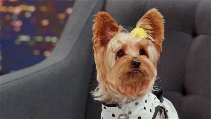 Pup Star: Två är bättre än en poster