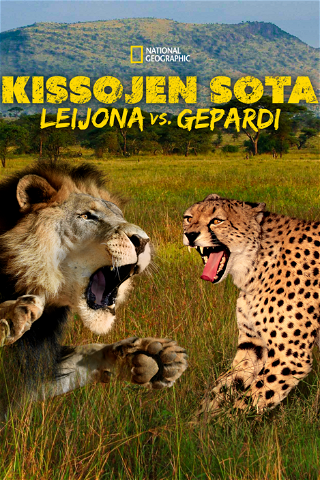 Kissojen sota - Leijona vs. gepardi poster