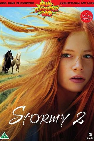 Stormy 2 poster