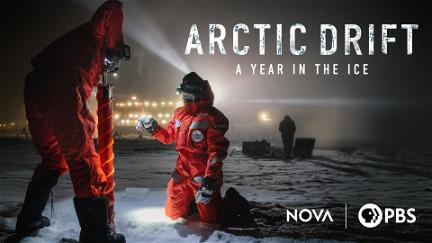 A Year in the Ice: The Arctic Drift poster
