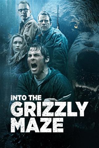 Territorio Grizzly poster