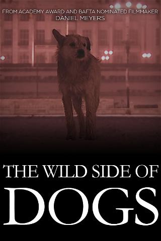 The Wild Side of Dogs poster
