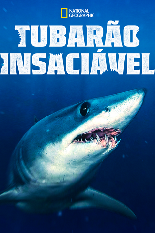 Tubarão Insaciável poster