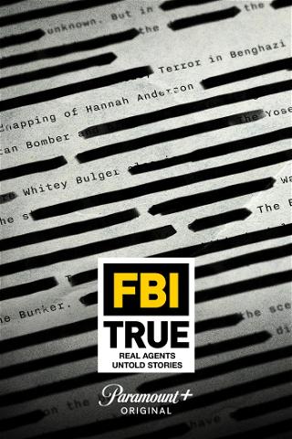 Inside FBI – Die härtesten Fälle poster
