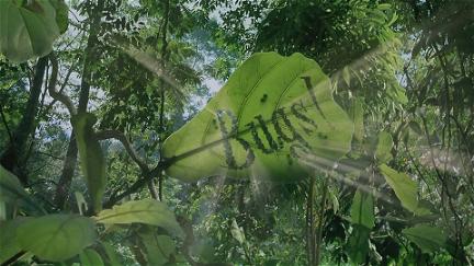 Bugs! Abenteuer Regenwald 3D poster