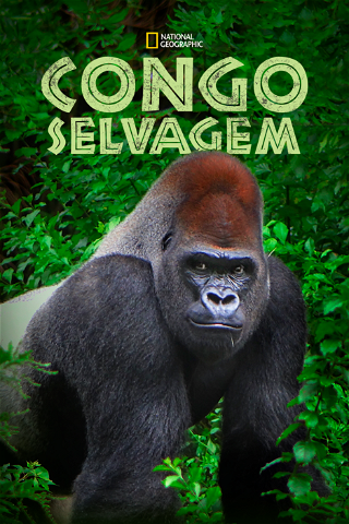 Congo Selvagem poster
