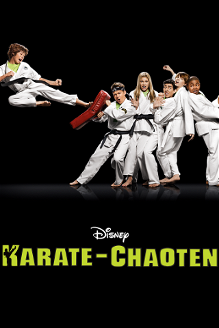 Karate-Chaoten poster