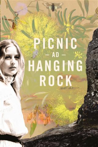 Picnic A Hanging Rock poster