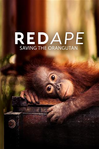 Red Ape: Saving The Orangutan poster