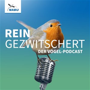 REINGEZWITSCHERT – der Vogel-Podcast poster