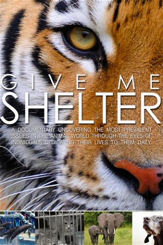 Give Me Shelter poster