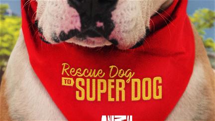 Rescue Dog to Super Dog (UK) poster