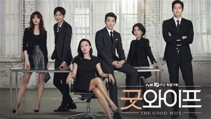 Good Wife poster