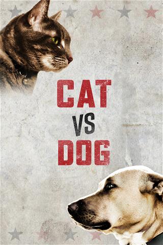 Cat vs. Dog poster