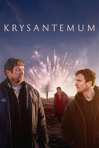 Krysantemum poster