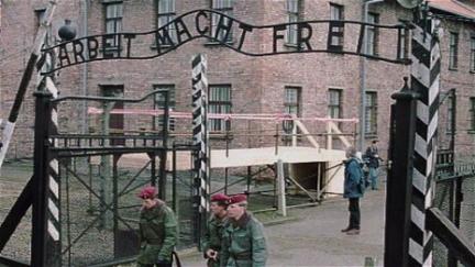 O Guarda de Auschwitz poster