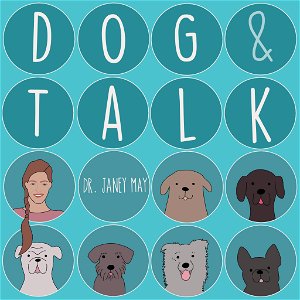 Dog & Talk - Auf eine Gassirunde mit Dr. Janey May poster