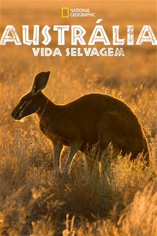 Austrália: Vida Selvagem poster