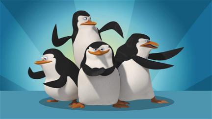 Los Pingüinos de Madagascar: Operación DVD Premiere poster