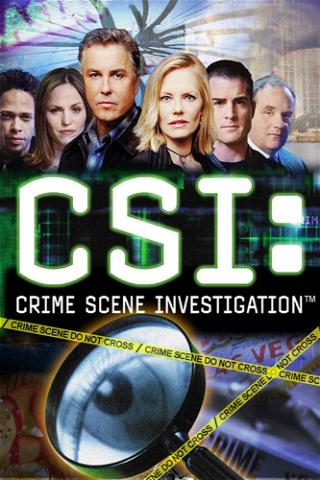 CSI - Den Tätern auf der Spur poster