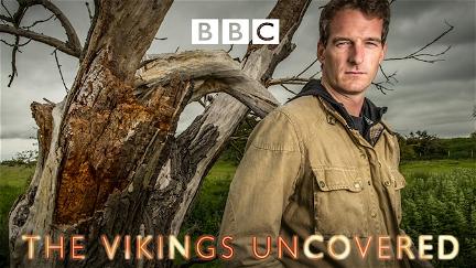The Vikings Uncovered poster