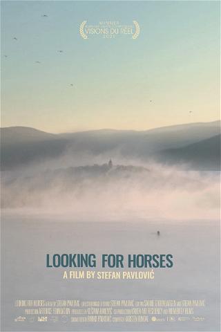 Looking for Horses poster