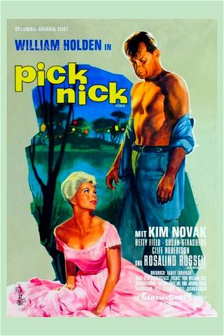 Picknick poster