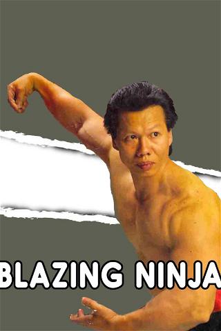 Blazing Ninja poster